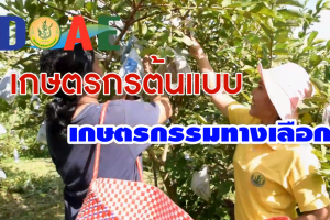 เกษตรกรต้นแบบทางเลือก จัวหวัดสกลนคร