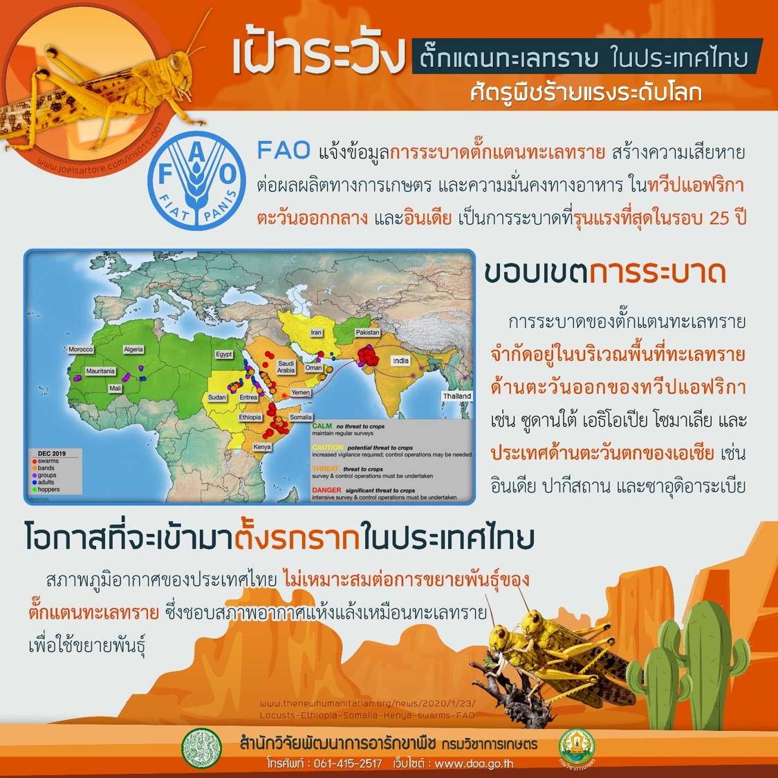 You are currently viewing เกษตรจังหวัดสกลนคร เตือนภัยเฝ้าระวังตั๊กแตนทะเลทราย