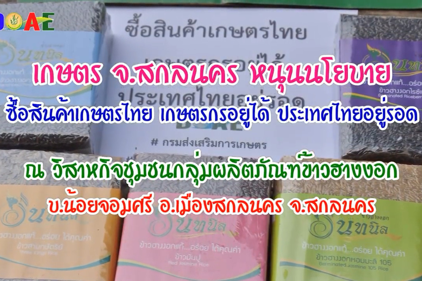 You are currently viewing ข้าวฮางงอกจังหวัดสกลนคร สินค้าเพื่อสุขภาพ มากคุณค่า ภูมิปัญญาเกษตรกรไทย