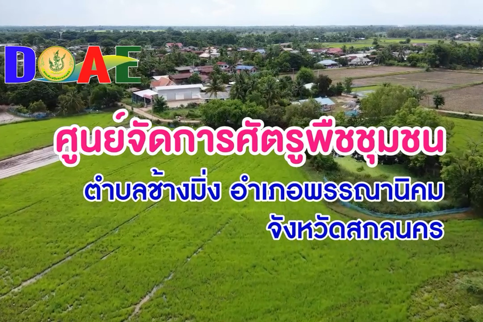 You are currently viewing ศูนย์จัดการศัตรูพืชชุมชน ตำบลช้างมิ่ง อำเภอพรรณานิคม จังหวัดสกลนคร
