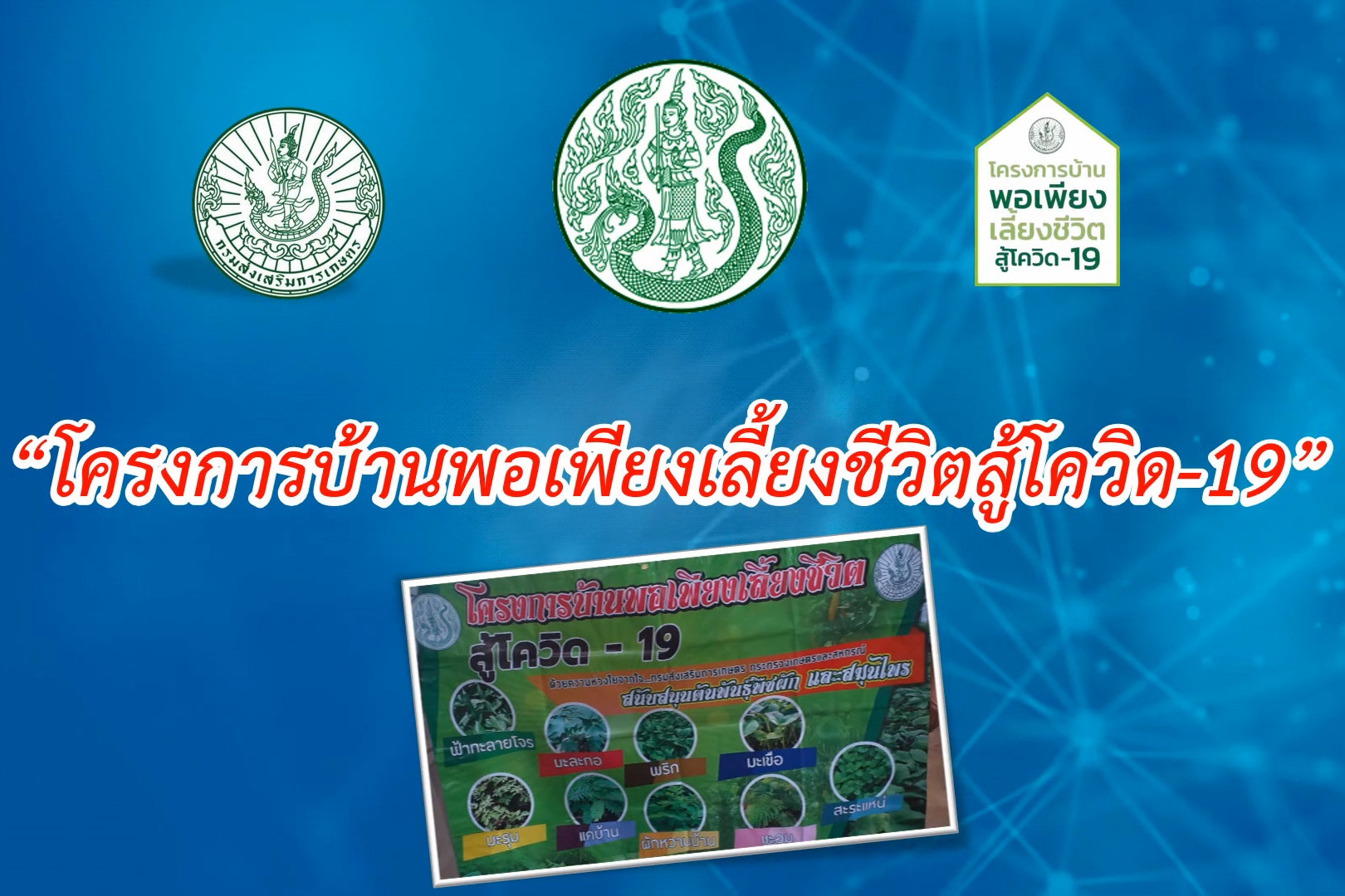You are currently viewing โครงการบ้านพอเพียงเลี้ยงชีวิตสู้โควิด-19 จังหวัดสกลนคร