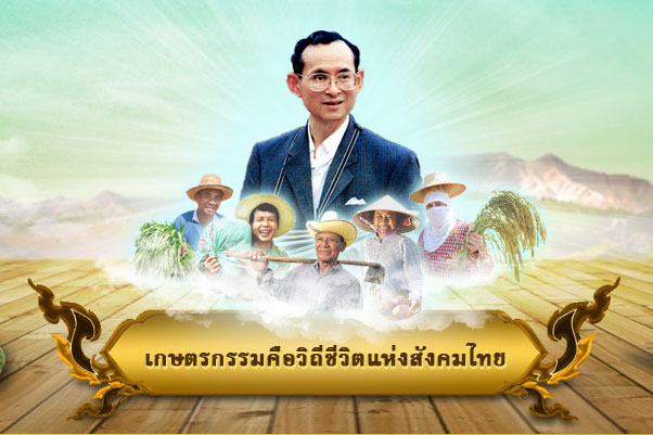 You are currently viewing พระราชกรณียกิจด้านการเกษตร ร.๙